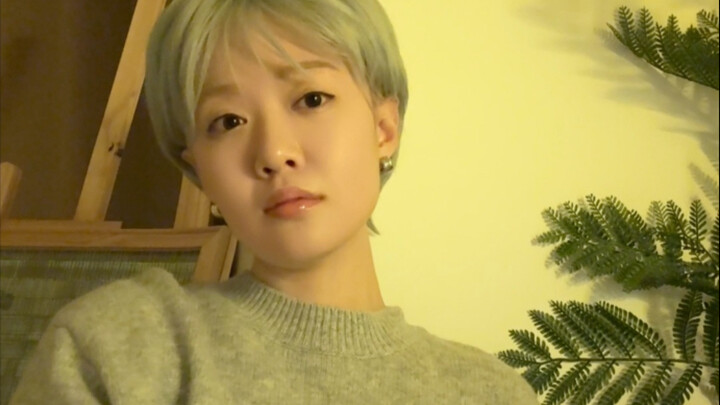 มิตรสหายผู้มีคุณธรรมของเธอ 3: กลับบ้าน