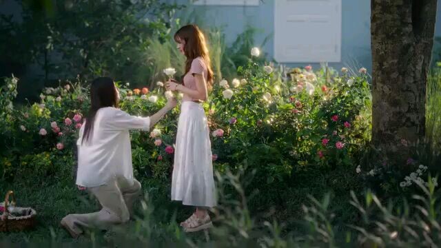 Earth. the 4 elements.