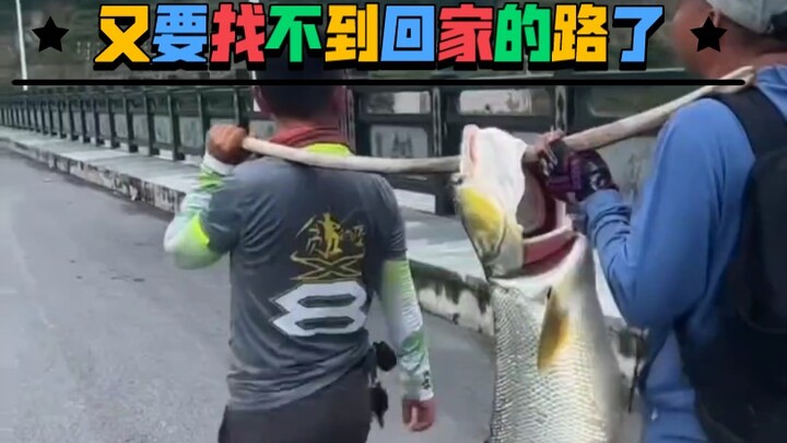 Người dắt cá thì đã thấy, còn cá dắt người thì lần đầu mới gặp