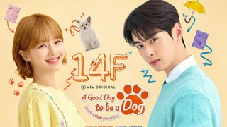 A GOOD DAY TO BE A DOG TAGALOG EPISODE 14F