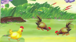 Câu truyện Mầm non: Hoa mào gà.