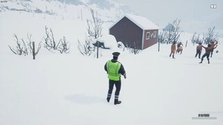GAI Stops Auto: Right Version Simulator-Full Playthrough