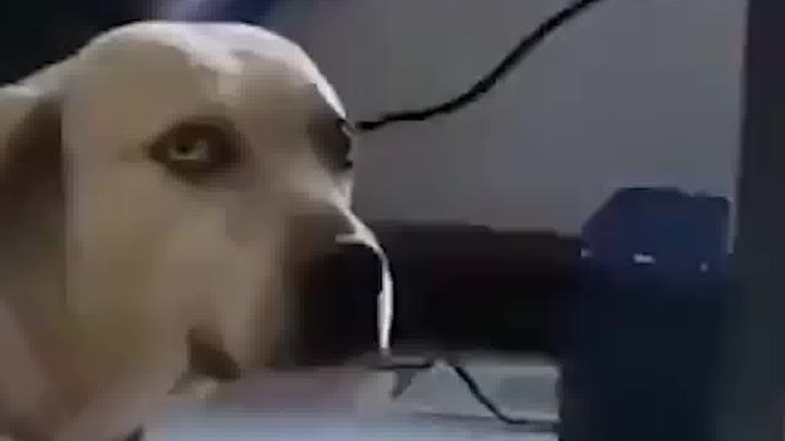 I’m really worried about your future.