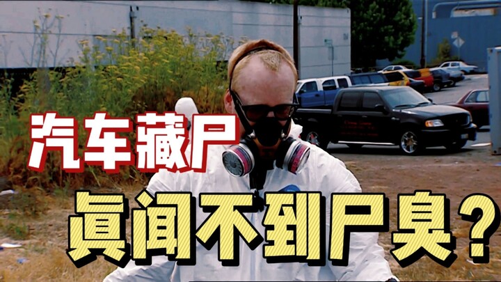 《流言终结者》汽车藏尸，真的闻不到尸臭吗？