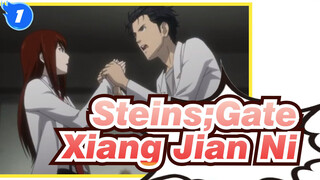 [Steins;Gate / Edisi Campuran] Xiang Jian Ni_1