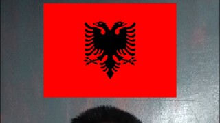The Flag of Albania #flag#Albania #geography