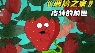 恶搞之家：皮特的前世