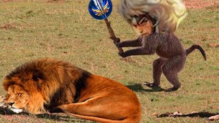 This hurt me to laugh for 8 minutes! The audacious Genghis Khan!