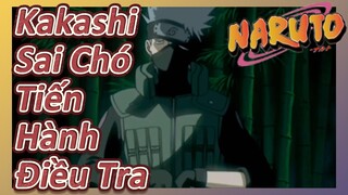 Kakashi Sai Chó Tiến Hành Điều Tra