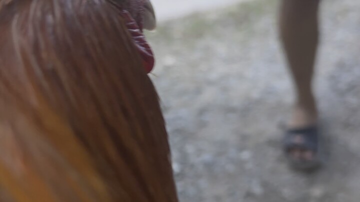 Kanawayon and JB kelso