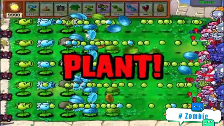 mua hoa nào trồng nhỉ