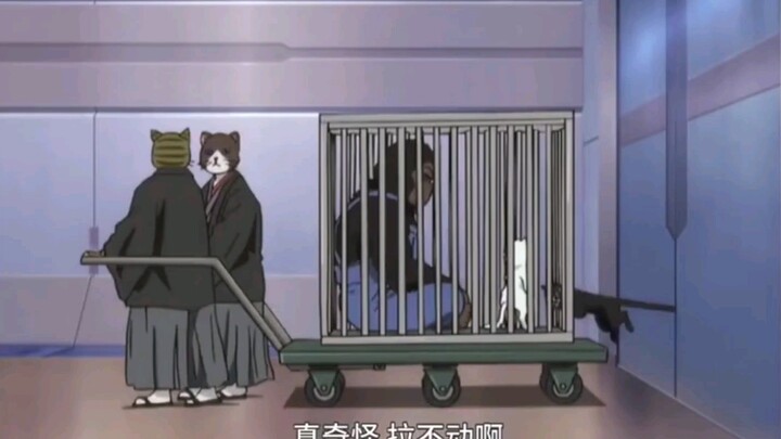 "Gintama" Gintama famous scene! When everyone turns into animals...