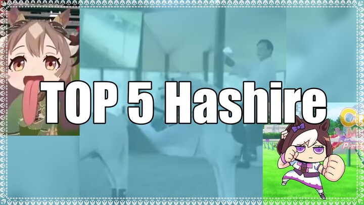 TOP 5 Hashire
