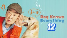 🇰🇷EP. 12 DOG KNOWS EVERYTHING (2024) | ENG SUB | HD 1080P | Comedy/Drama/SitCom