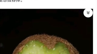 What should I do if my dad is addicted to gambling on stones?