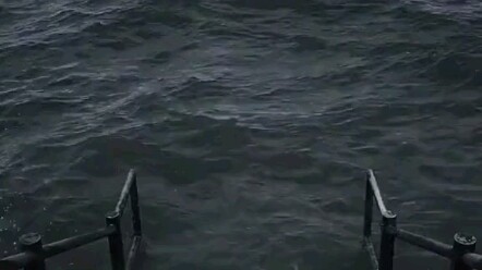 Wujud murni dari persahabatan