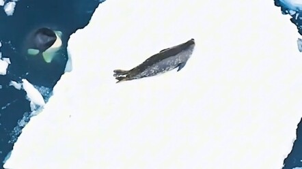 Chỉ vì anh nhìn em thêm lần nữa giữa đám đông