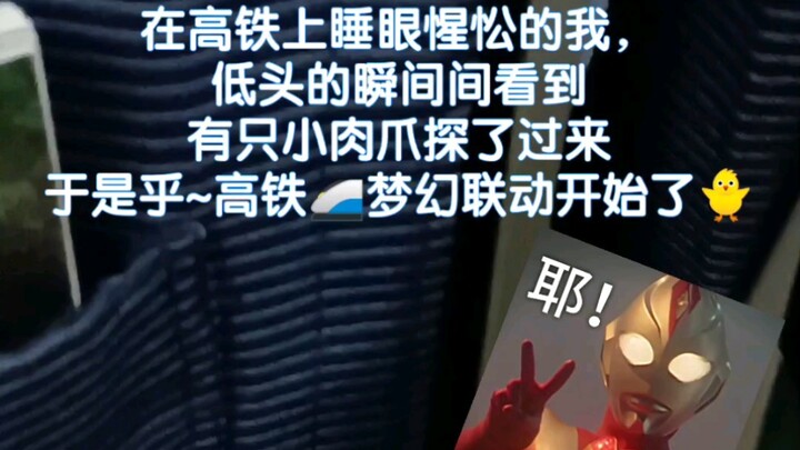Biu~ Autumn cuteness at full blast! Haihai’s mom is just as adorable—she was smiling the whole time 