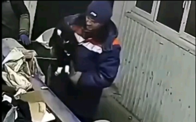 A cat suddenly pops up in the trash bag—narrowly escaping being crushed by the garbage disposal!