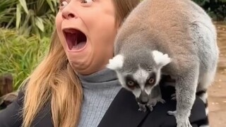 Langsung saja satu suapan