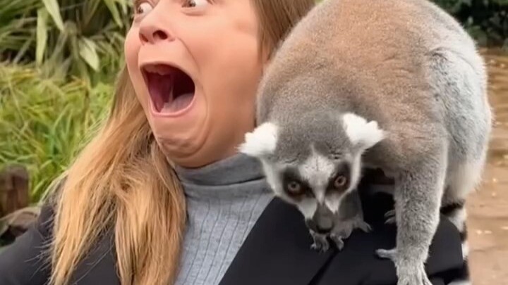 Straight to the point