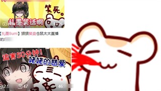 Four generations living together in the rat kingdom? Li Mo Sumi's thoughts on the one-hour hamster l