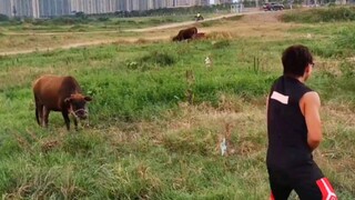 你干哞～哎哟