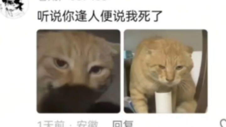 يشتبه في إحياء العجائز