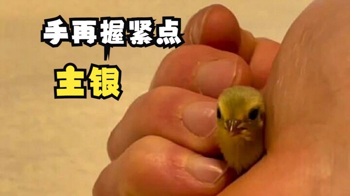 Little Animals' Leisure Time (5)