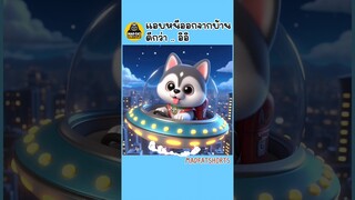 เจ้าหมาจะหนีไปไหน? คลิปสนุก น่ารัก ตลก #มังงะ #ai #funny MadfatUncle สัตว์โลกน่ารัก
