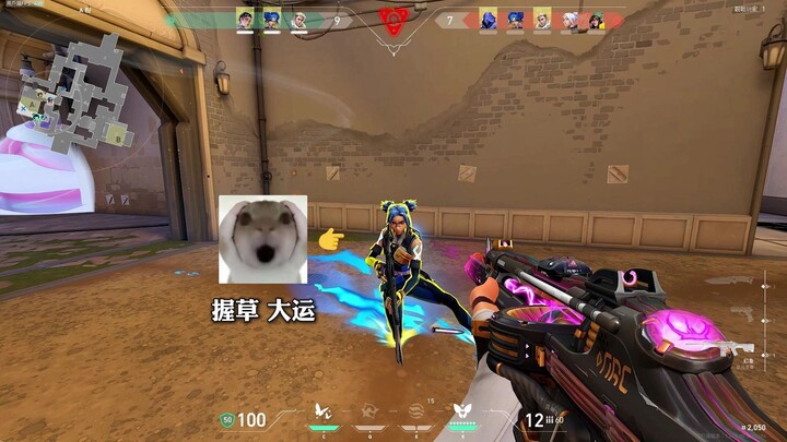 The rat’s here to play with you—let’s go!