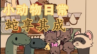 蛇享其成 🐍🏠🐀-【小动物日常 | Natural Habitat】中英双字