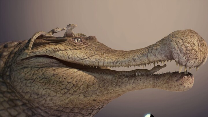 CGdemo Emperor Crocodile 2021