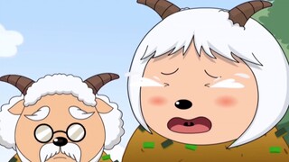 不听老人言，吃亏在眼前啊