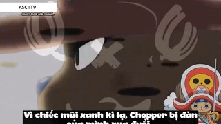 Top 8 Người Vô Tình _Ăn_ Trái Ác Quỷ trong One Piece #18 3