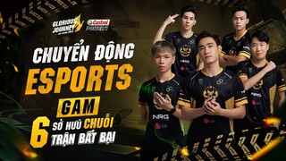 [Chuyển động Esports] Tuần 2 - GAM Bất bại, SBTC Esports tìm lại được chính mình