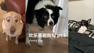 欢乐喜剧狗勾 pt.5