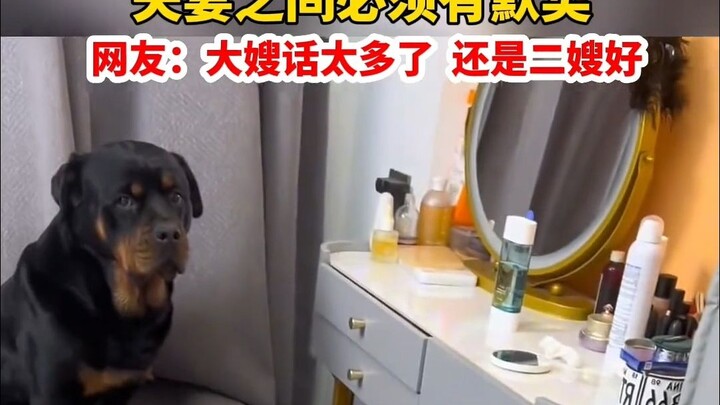 Liaoning, February 24. Netizen: Honey, say something—surprised? Caught off guard?