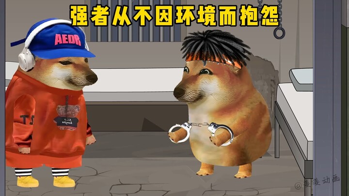 强者从不因环境而抱怨，会用行动创造机遇