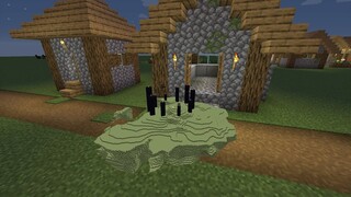 SMALLEST END IN MINECRAFT!