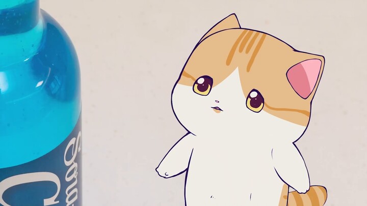 Super healing animation! The kitten who secretly drinks soda, Huahua and the three cats have a new s