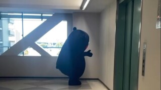 Kumamon secretly practicing