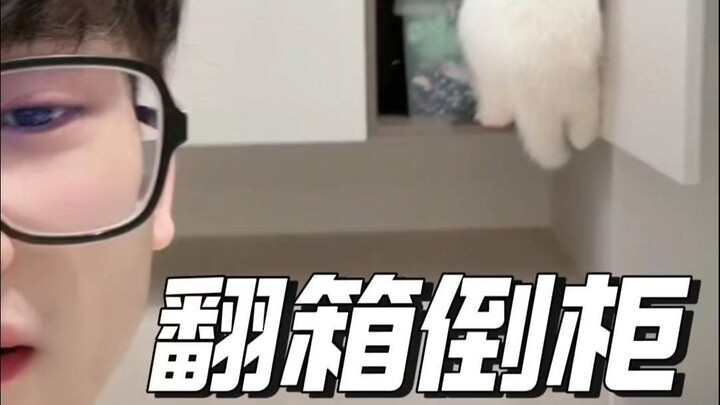 Failed to conquer the "house-breaking" challenge, so I got two kids to drag instead.