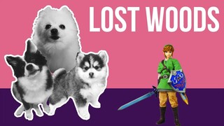 Lost Woods (Legend of Zelda) but it's Doggos and Gabe