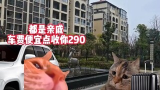 When I hopped into my uncle’s car, my aunt charged me 290 yuan! #CatMemeMiniDrama #CatMeme #WayTooRe