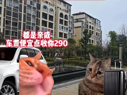 عندما ركبت في سيارة خالي، تقاضت مني خالتي 290 يوانًا #مسرحية_ميمات_القطط #ميمات_القطط #محتوى_واقعي_ج