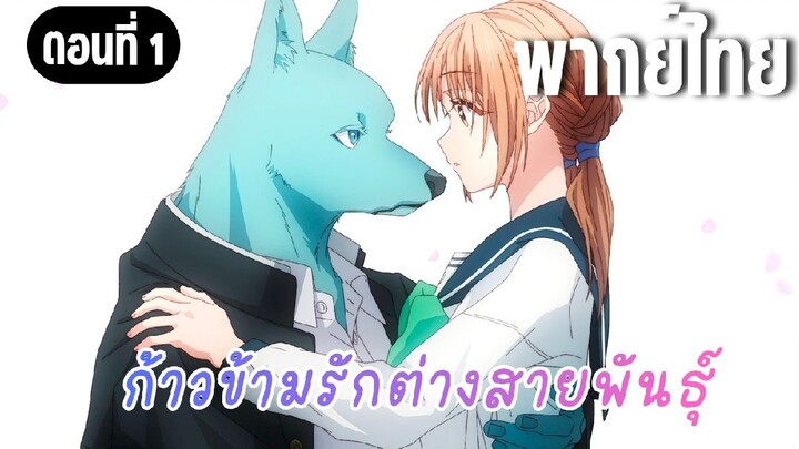 ก้าวข้ามรักต่างสายพันธุ์ [พากย์ไทย]  มาข้ามไปด้วยกันนะคะ