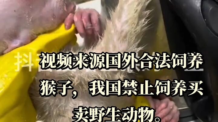 猴子怎么了