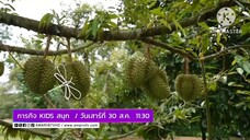 ภารกิจ Kids สนุก ตะลุยสวนผลไม้กันที่ อ.แกลง จ.ระยอง วันเสาร์ที่ 30 ส.ค. เวลา 11.30 น.