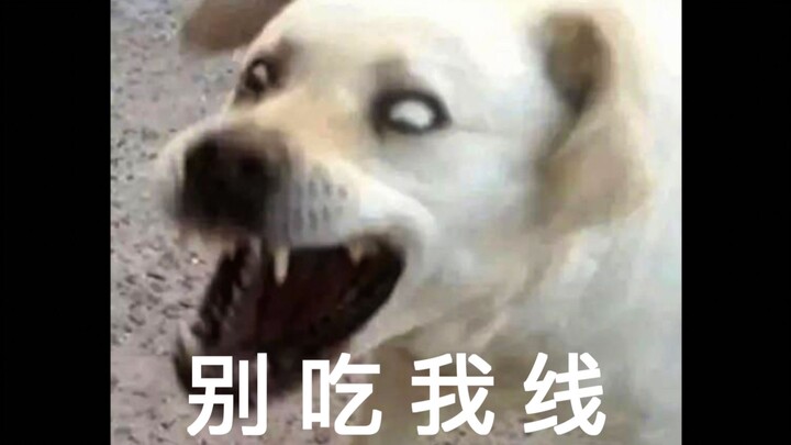 女孩子玩中单的时候在想什么